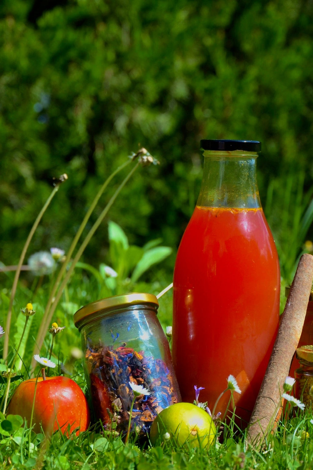 Apple Cinnamon kombucha