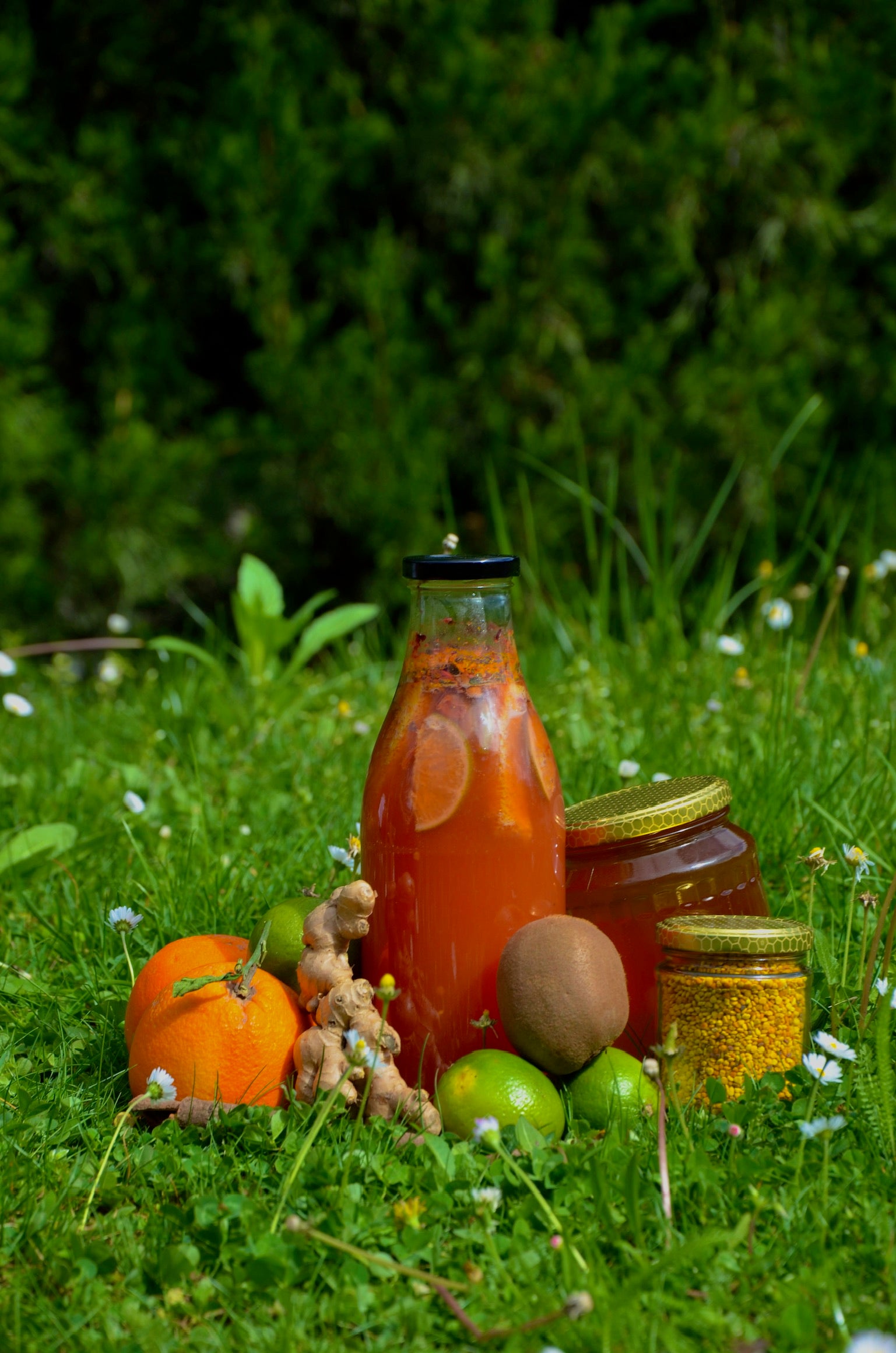 Citrus kombucha