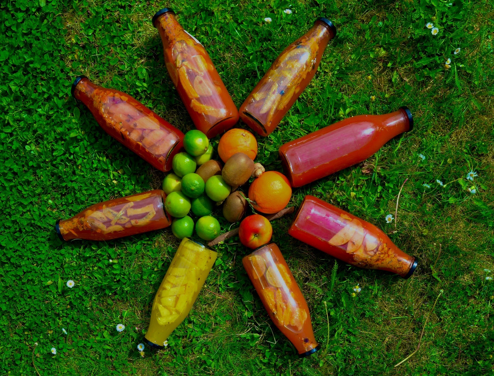June Bucha kombucha bottles arranged with fresh fruit on grass