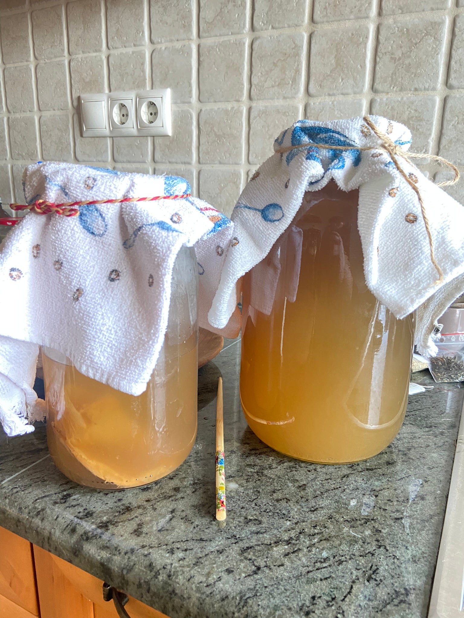 June Bucha jun fermenting